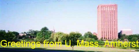 umass.jpg